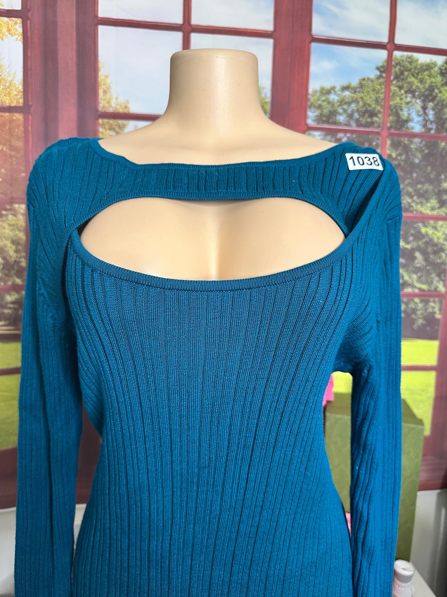 Nina Leonard NWT sweater dress sz XL