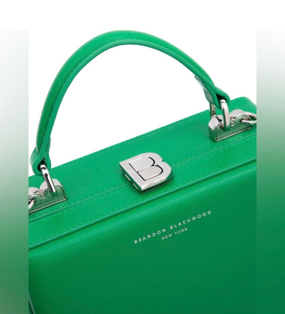 Brandon Blackwood Apple Green Leather Trunk With Silver Hardware. Worn once!