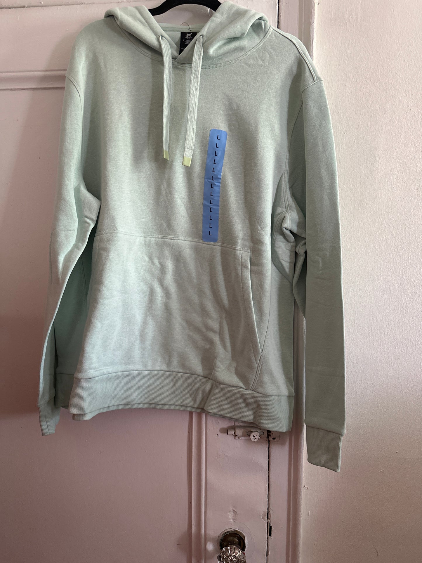 Mint green hoodie NWT sz L Unisex